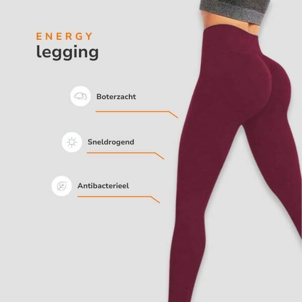 Energy seamless legging